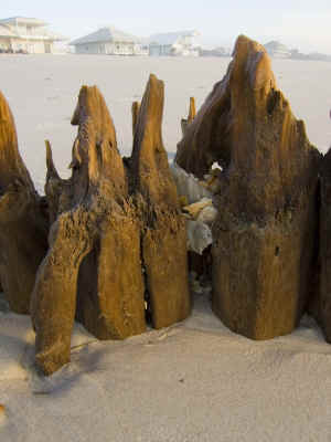 IMG_0046a.JPG (3389729 bytes)