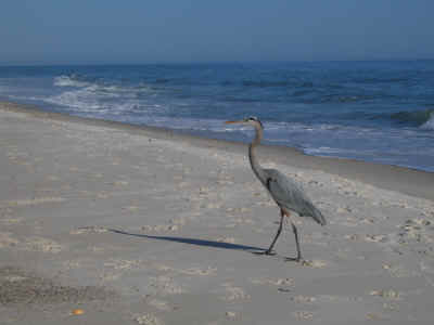 IMG_0087.JPG (1213358 bytes)