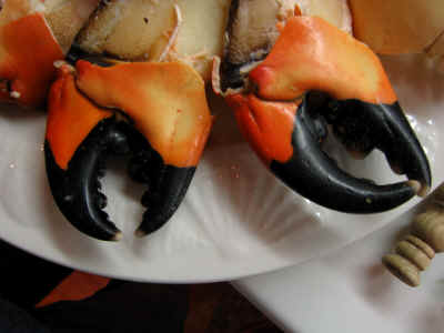 IMG_0092.JPG (3685225 bytes)