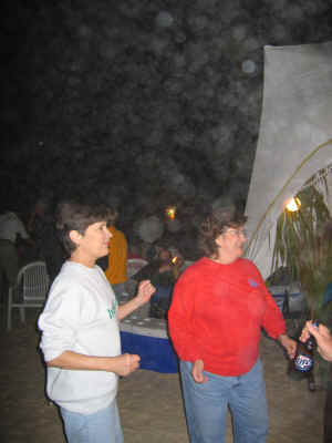 IMG_0173.JPG (299241 bytes)