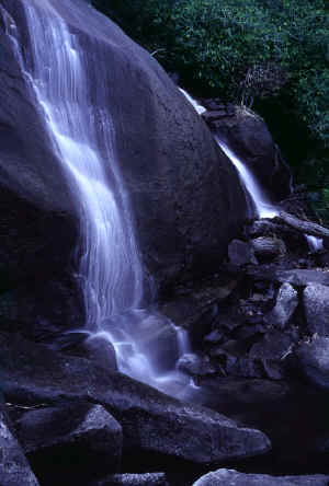 Daniel Falls 1.jpg (76853 bytes)