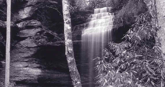 Untitled-8 L B&W purple hint.jpg (123557 bytes)