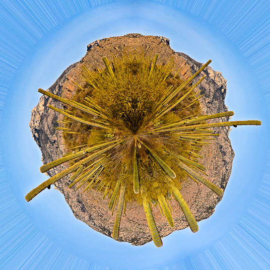 Planet Saguaro