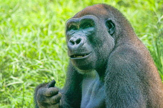 Hey buddy, I got a deal for ya